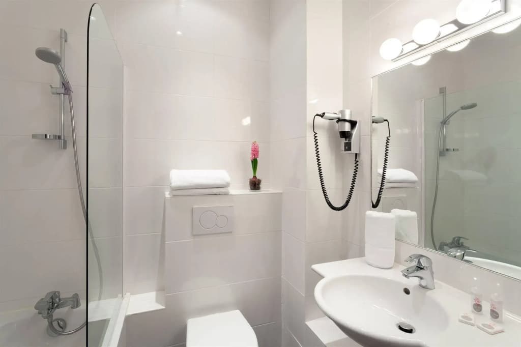 Hotel Virgina - photo 10