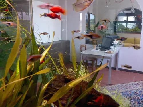 Locanda Ai Due Orsi - photo 34