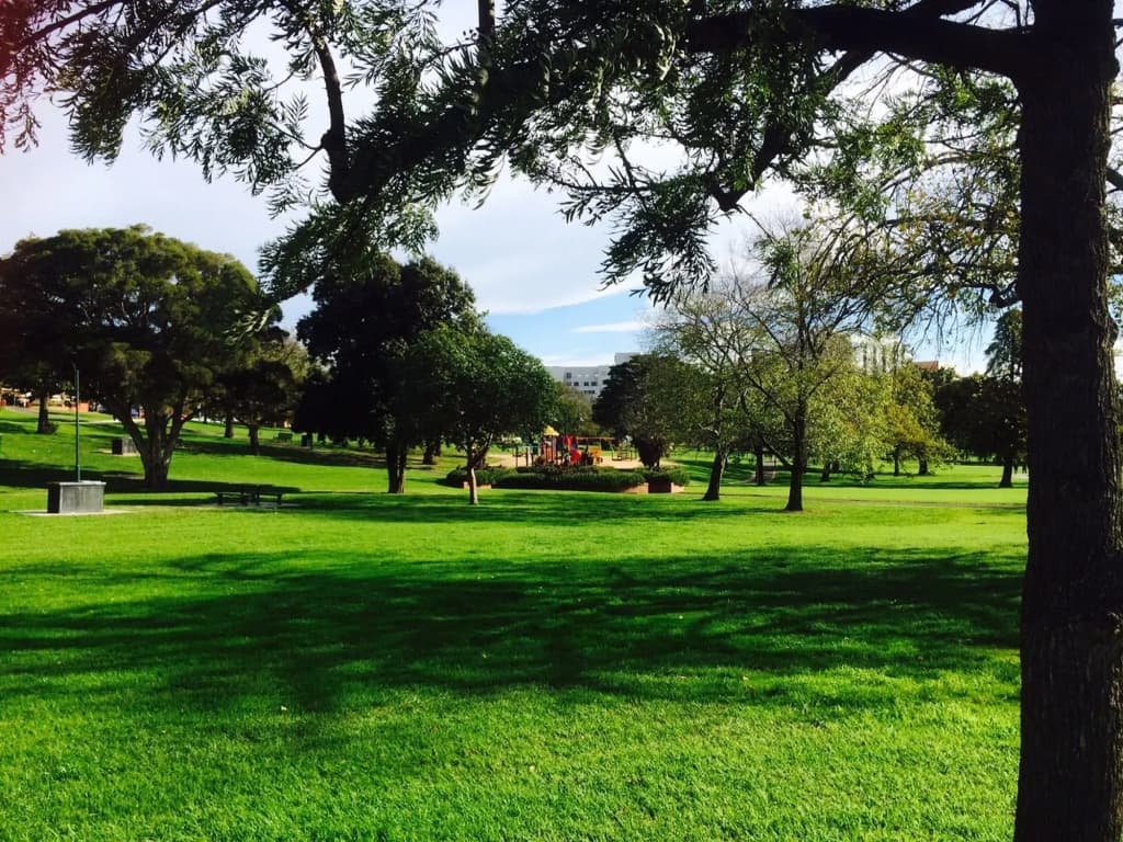 Box Hill Studios at Canterbury Gardens - photo 16