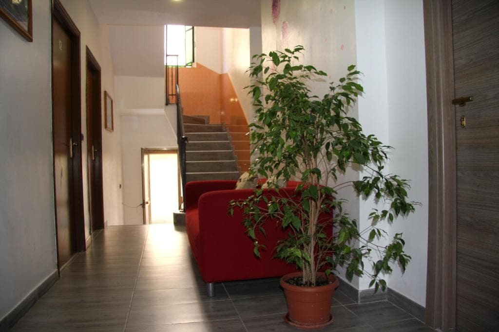 Hotel Adelchi - photo 26