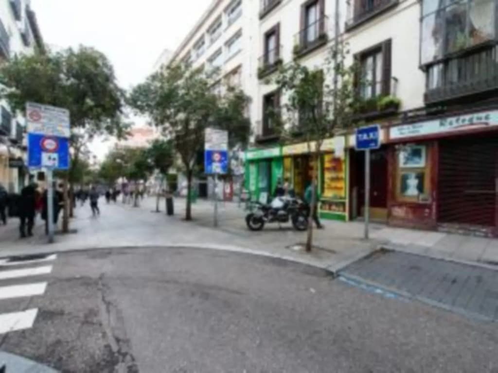 Madrid Center- Fuencarral Pedestrian - main photo