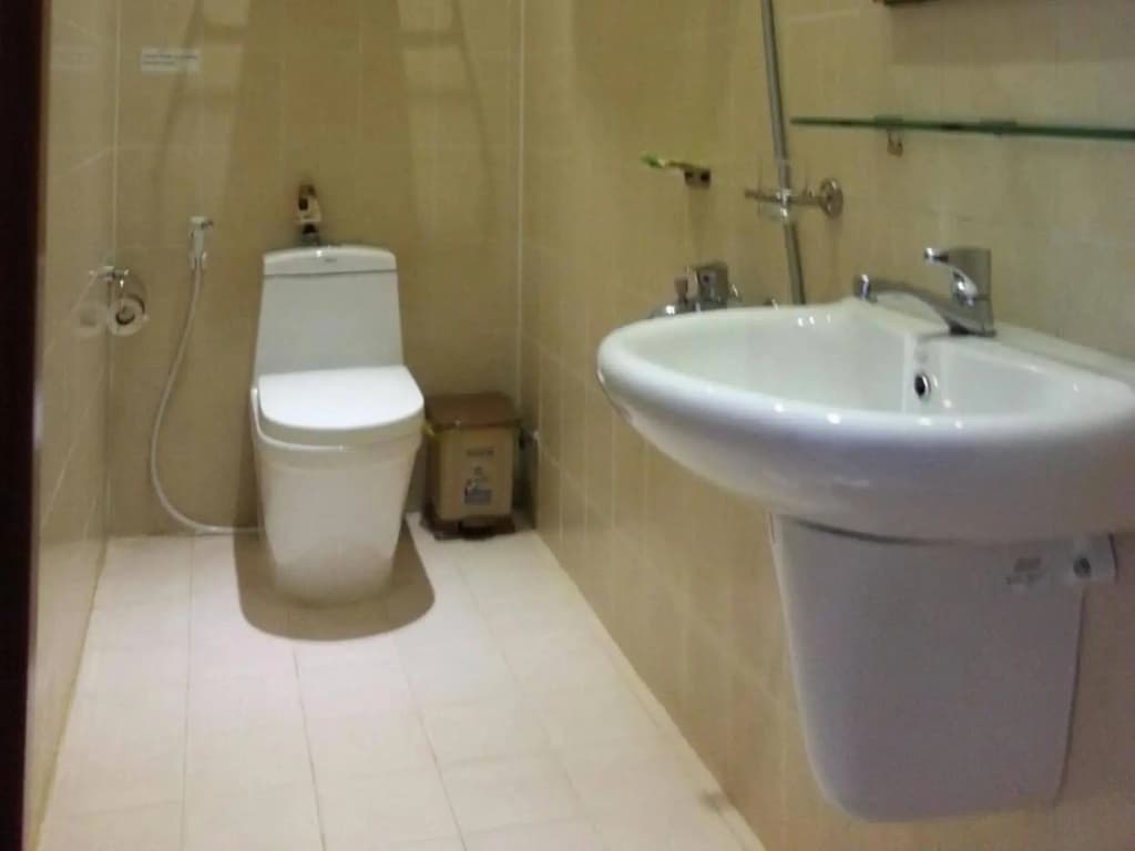 Luan Vu Hotel - photo 7