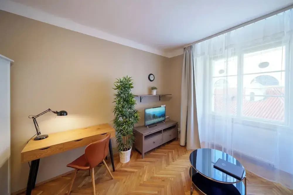 Old Town - Templova Apartments - photo 8