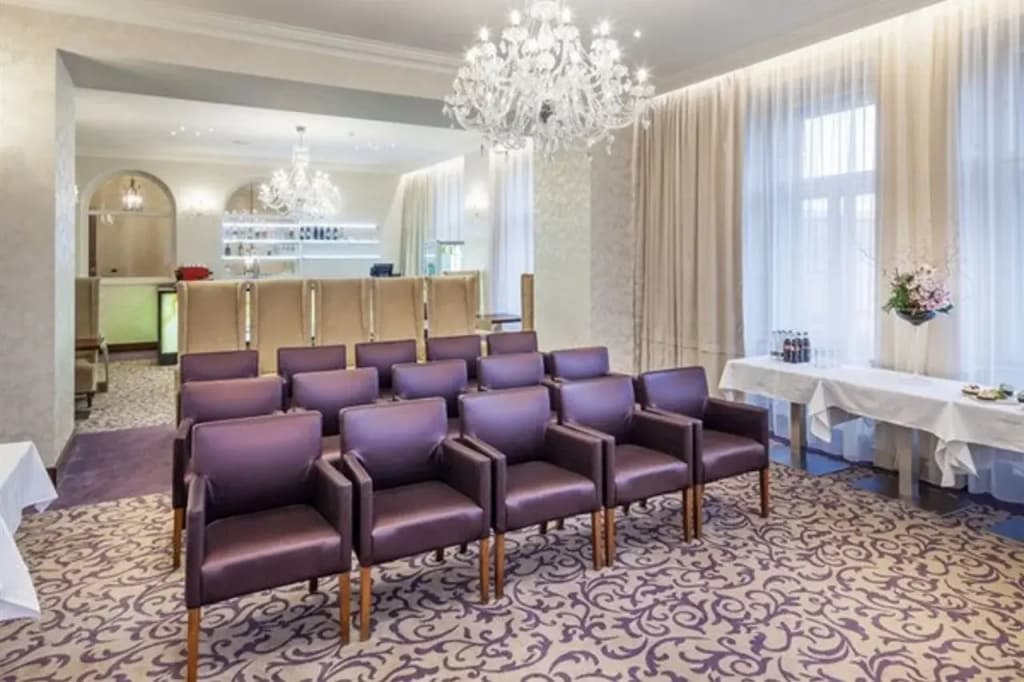 Kosher Hotel KING DAVID Prague - photo 18