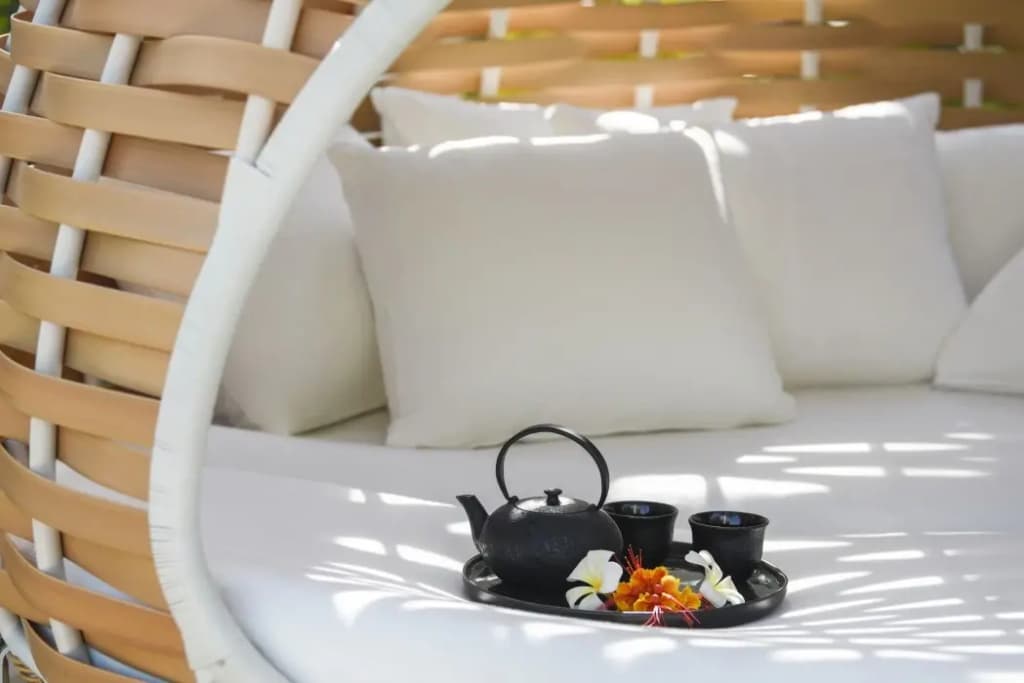 Waldorf Astoria Maldives Ithaafushi Hotel - photo 11