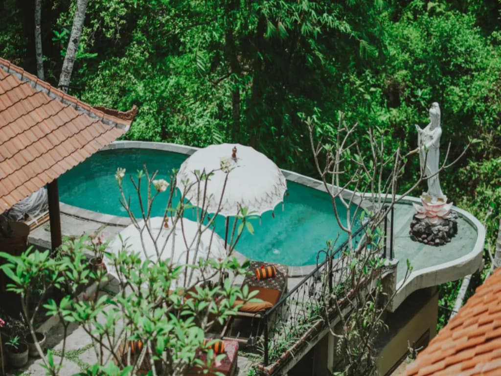 Jungle Lotus Villas - main photo