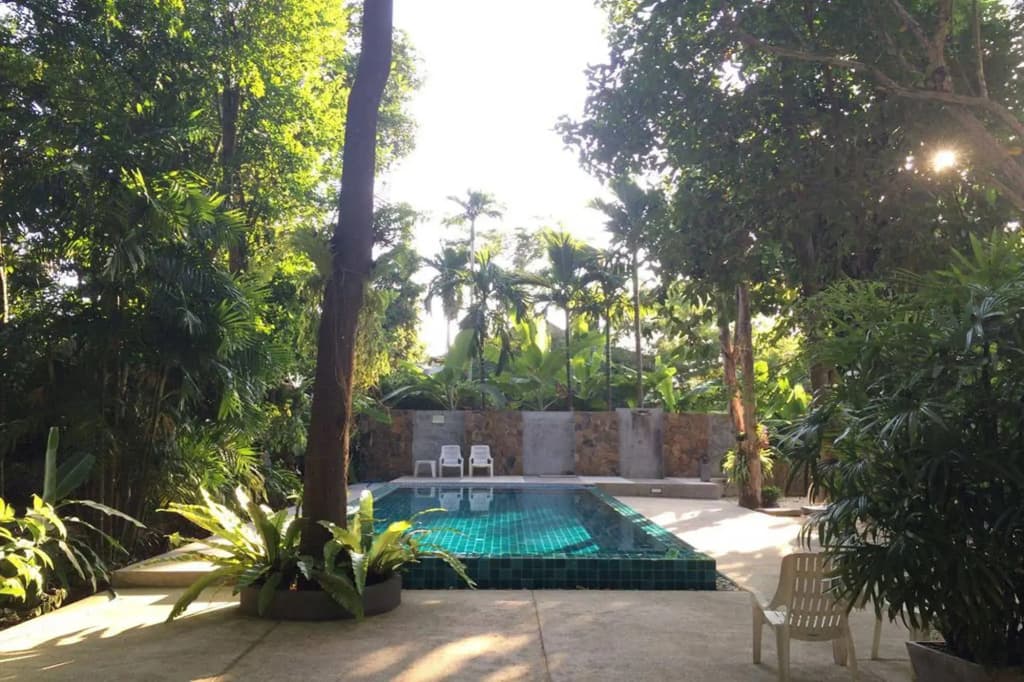 Fern House Retreat - photo 15