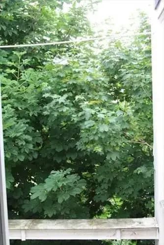 Very Charming Garden View 4 Sleeps In The Heart Saint Germain - photo 1