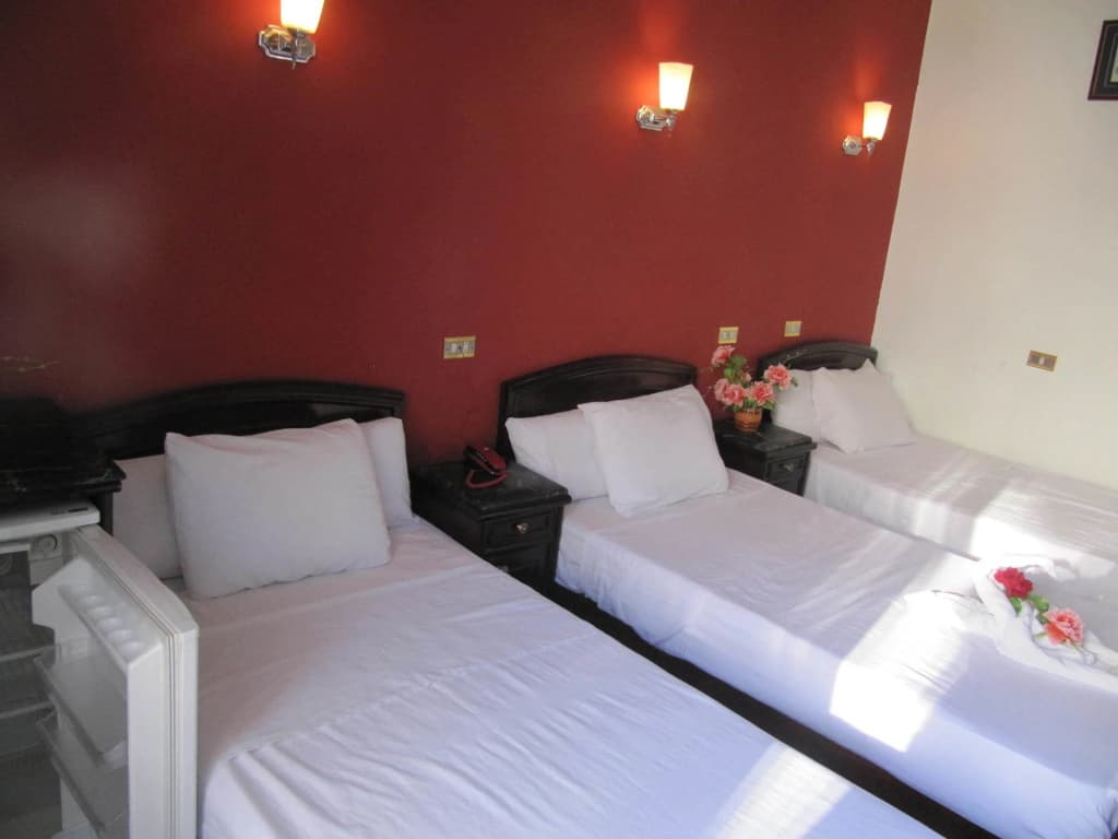 The Garden Hostel - photo 6