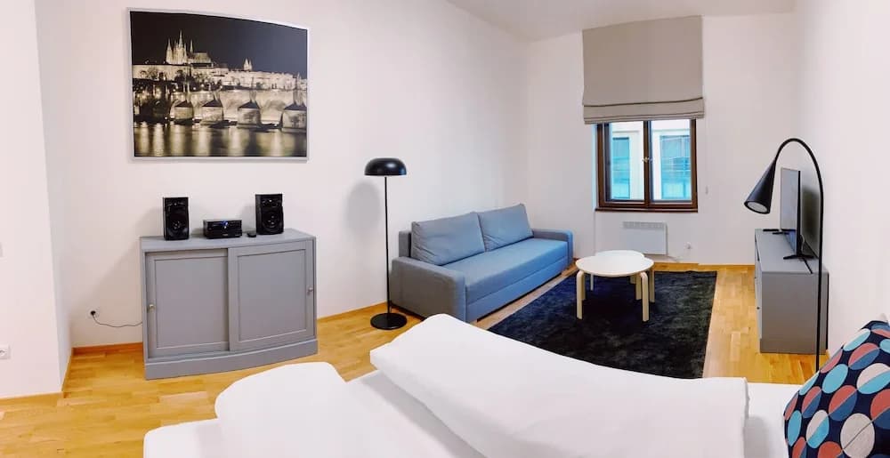 Residence u Naplavky - photo 6