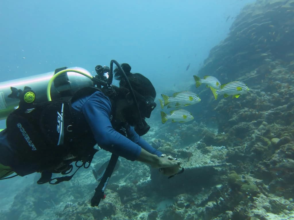 Rasdhoo Dive Lodge - photo 11
