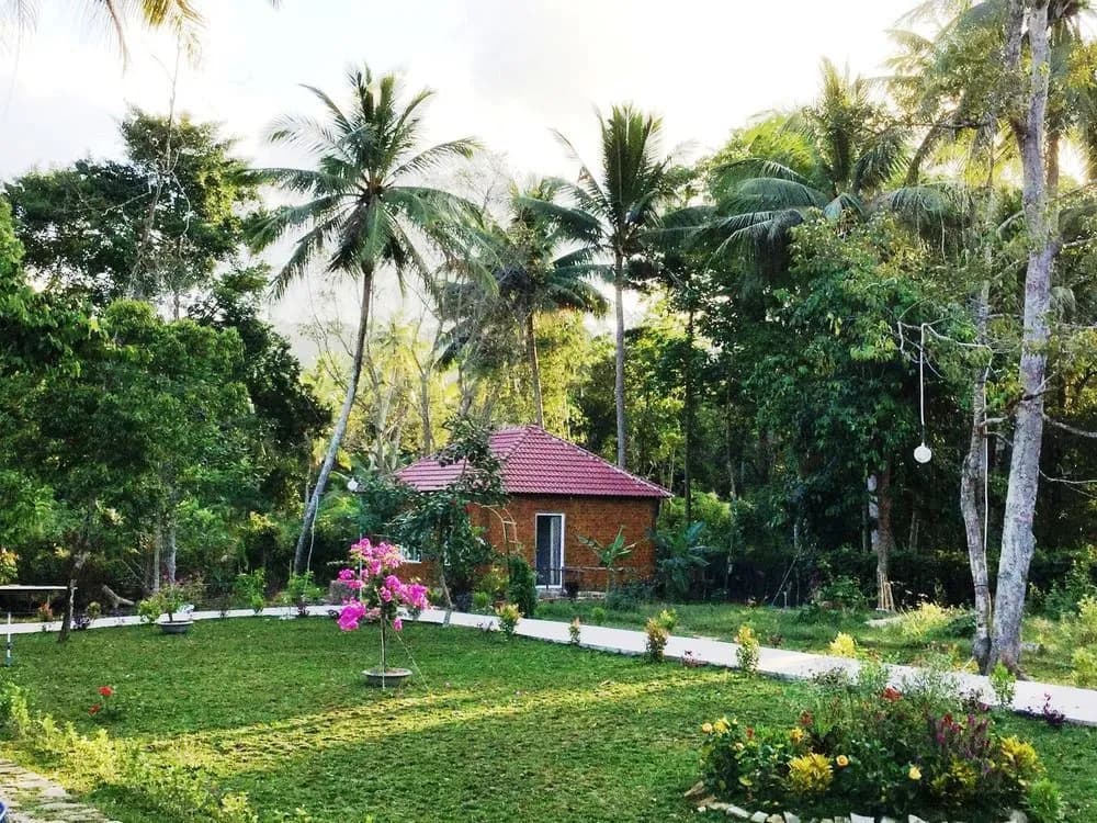 Giraffa Phu Quoc - photo 12