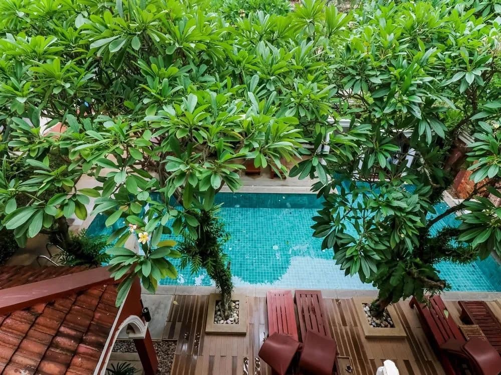NIDA Rooms Viridian Patong Beach - photo 16