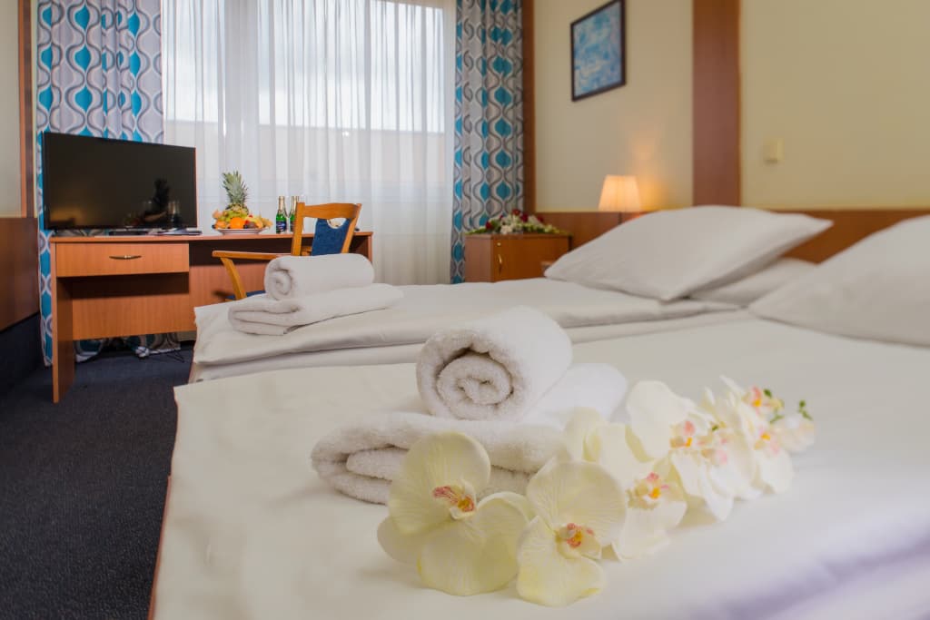 TOP HOTEL Praha & Conference Centre - photo 27