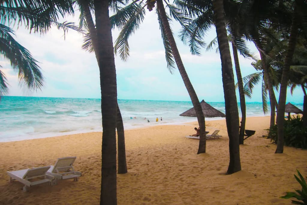 Lavender Resort - photo 20