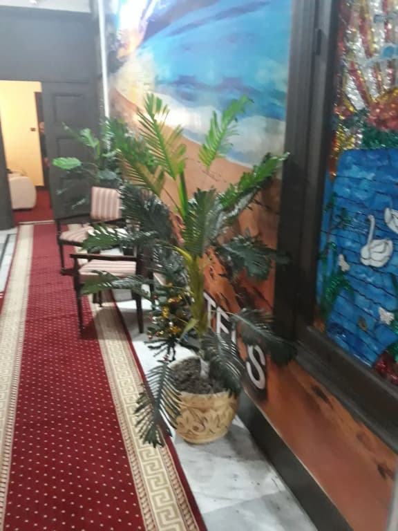 Paradise Boutique Hotel - photo 13