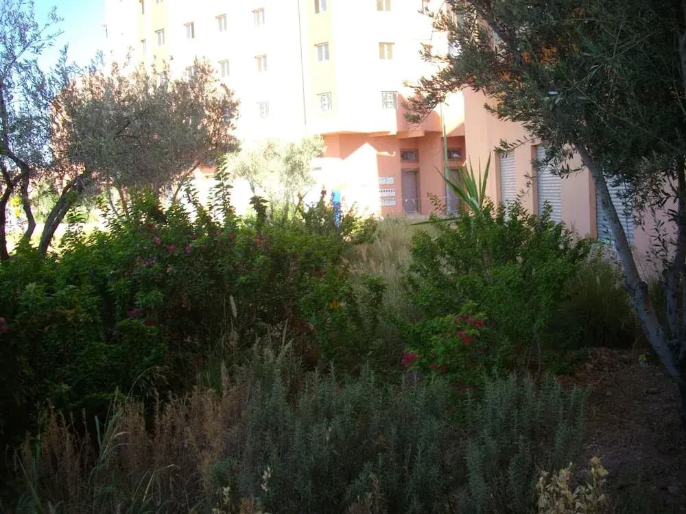 Cheap Accommodation in Marrakech - photo 11