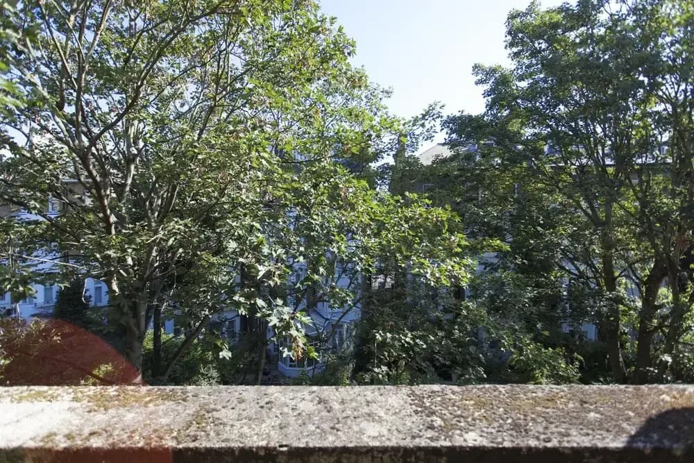 Chelsea Residential Atmosphere - photo 14