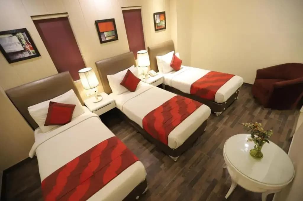 Hotel Picasso Naraina - photo 5