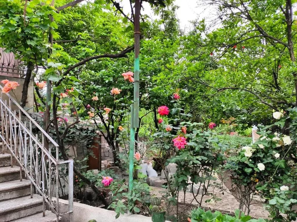 Guesthouse TTT - photo 9