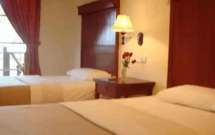 Dara Inn - photo 6