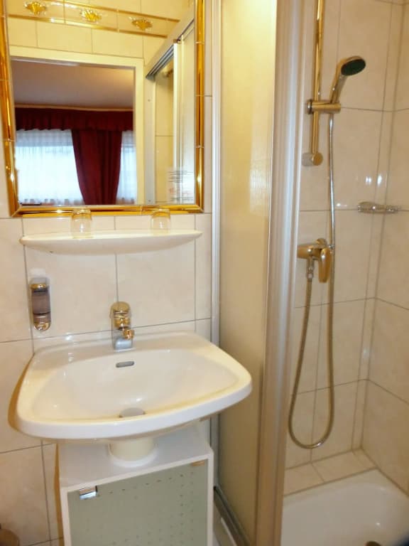 Boutique Hotel Zur Wiener Staatsoper - photo 7