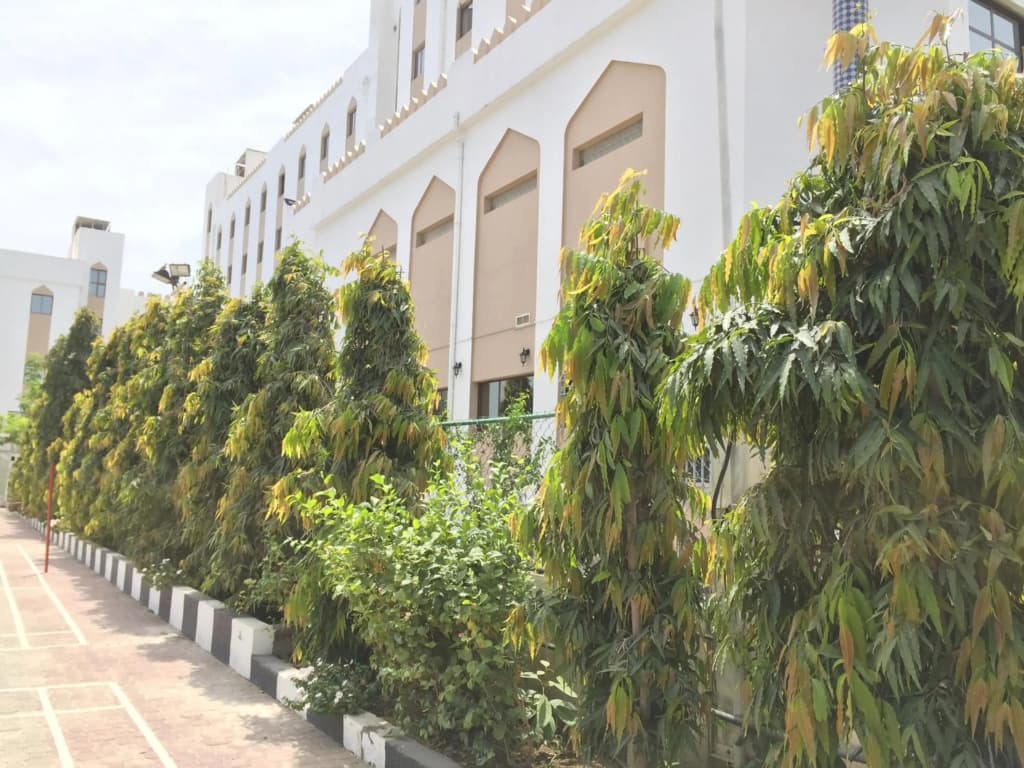 Hotel Al Madinah Holiday - photo 39