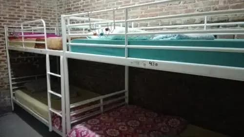 Grupo Rh - Hostel - photo 5