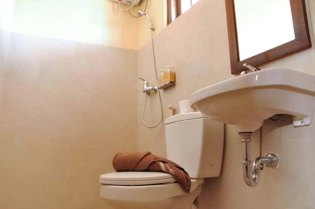 Bemo Corner Guest House - photo 9