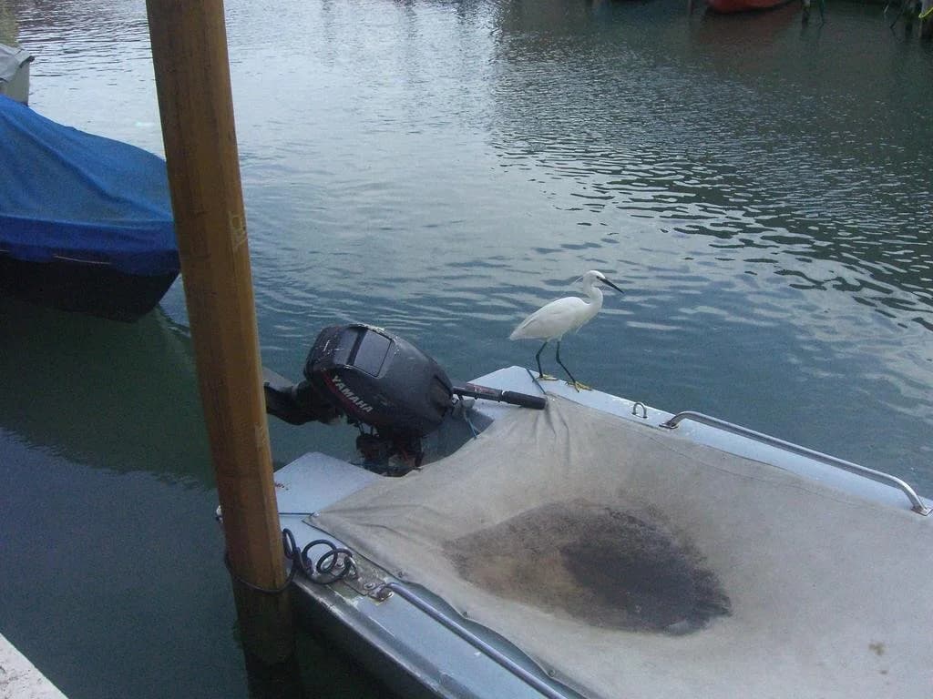 Ca' del Pomo Granà - photo 16