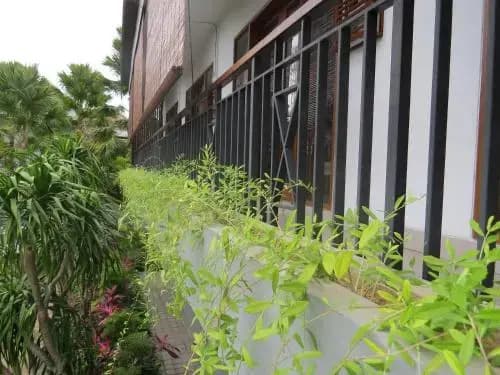 Penelopy Suites Oberoi - photo 14