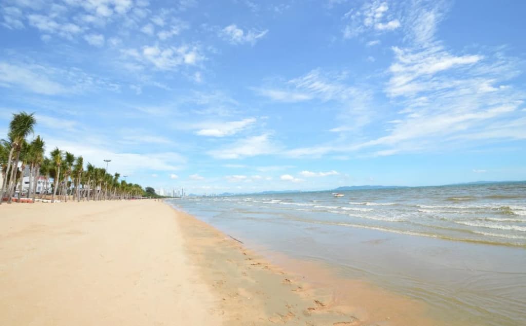 Thai Orange Magic - photo 19