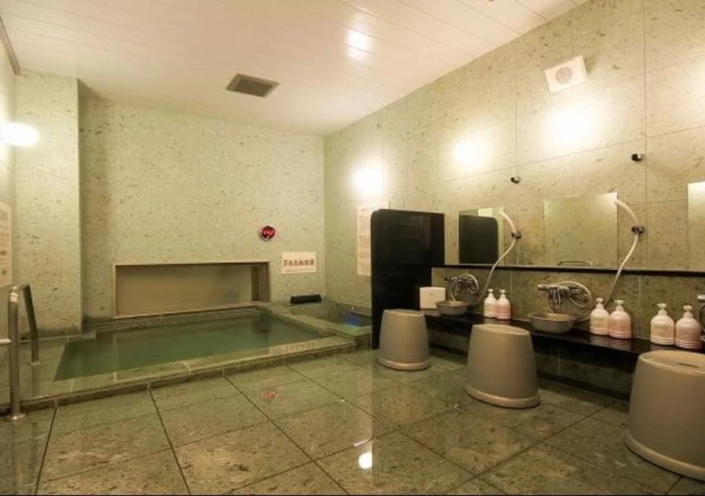 Super Hotel Tokyo JR Tachikawa-Kitaguchi - photo 15
