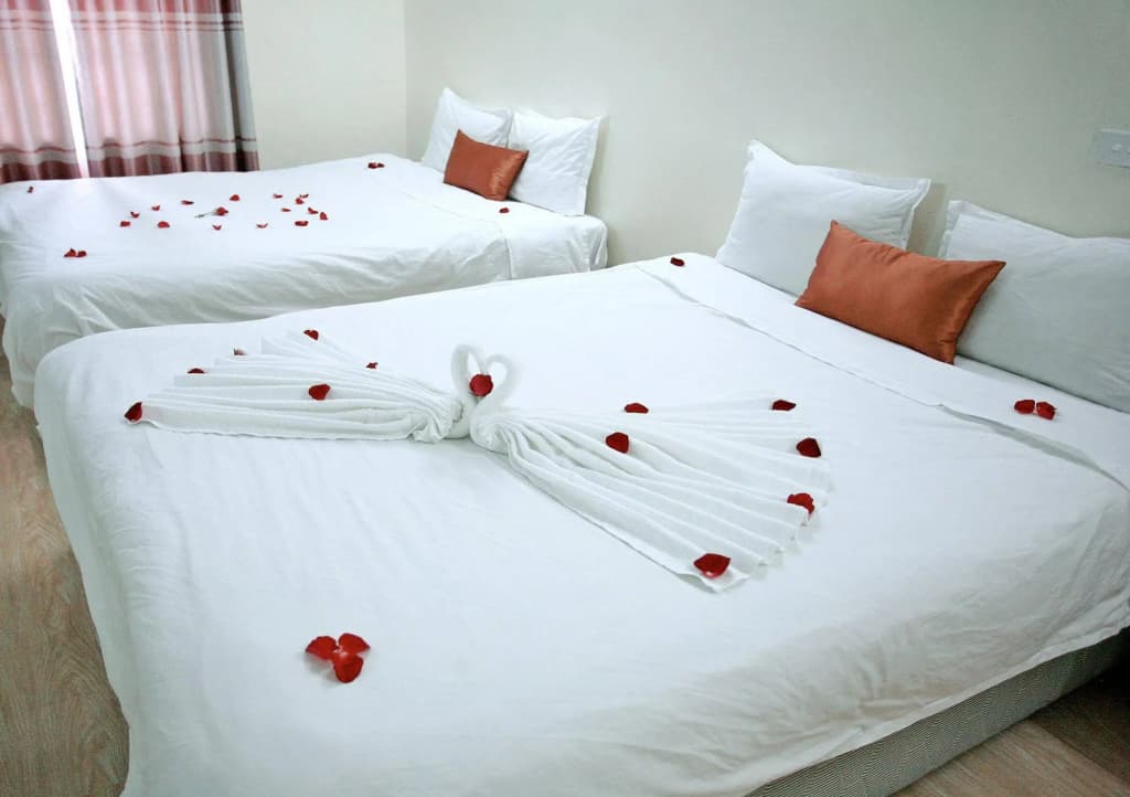 Avi Airport Hotel - photo 7