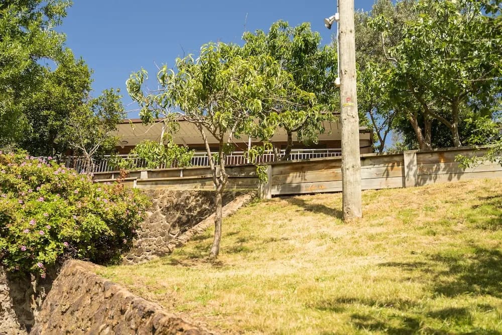 Loquat Hill - photo 8