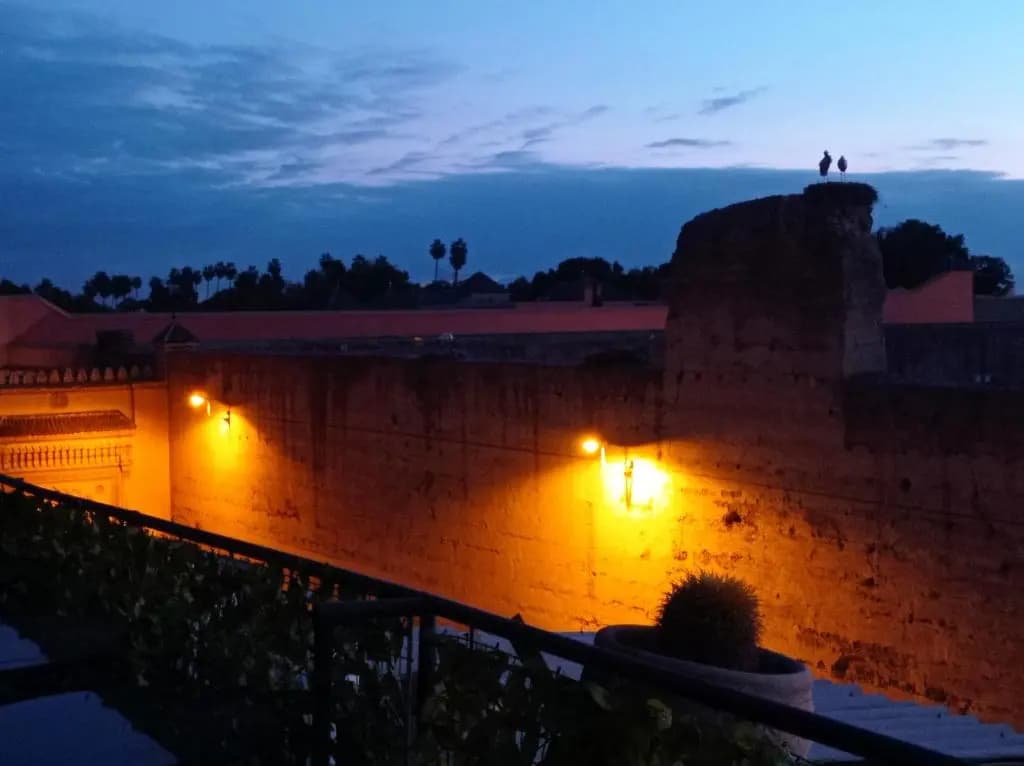 Stork Marrakech luxury Hostel - photo 9