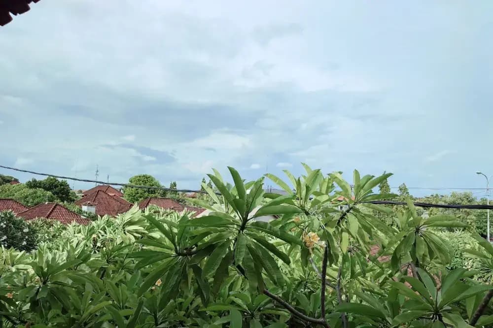 Ananda's Sanur - photo 15