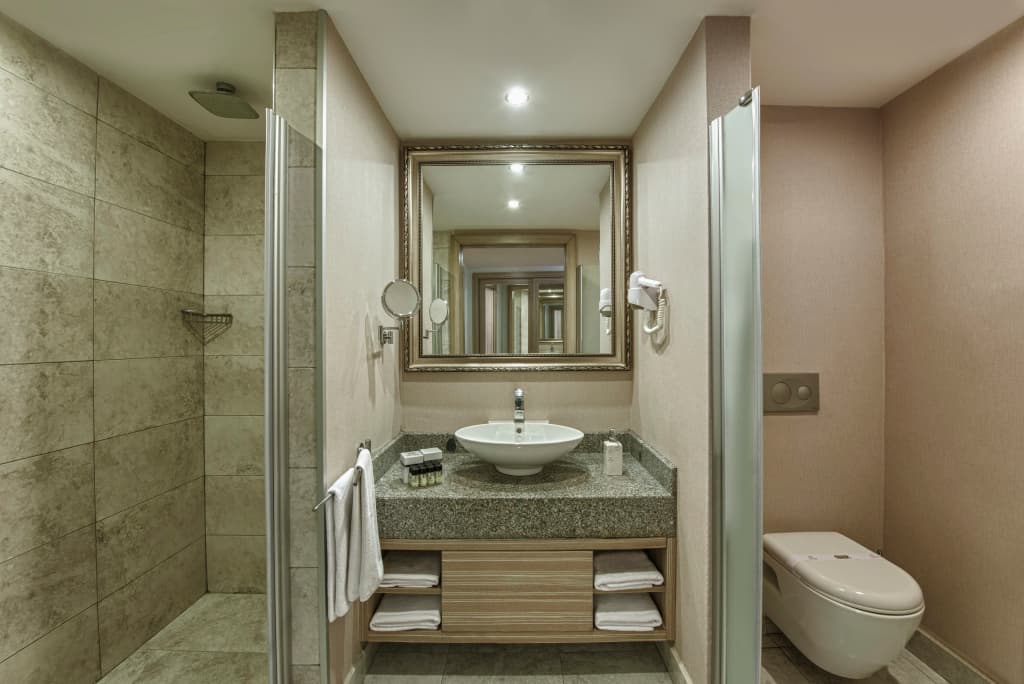Delphin Deluxe Resort Hotel - All Inclusive - photo 8