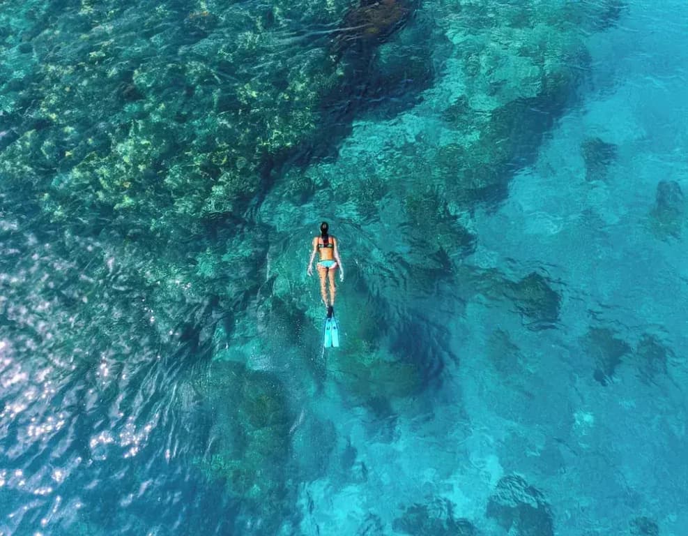 Hanifaru Beach Inn - photo 11