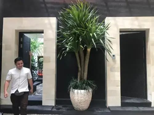 Amanputri Villa - photo 19