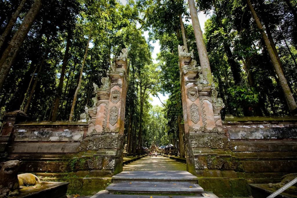 Villa Ubud Hill - photo 20
