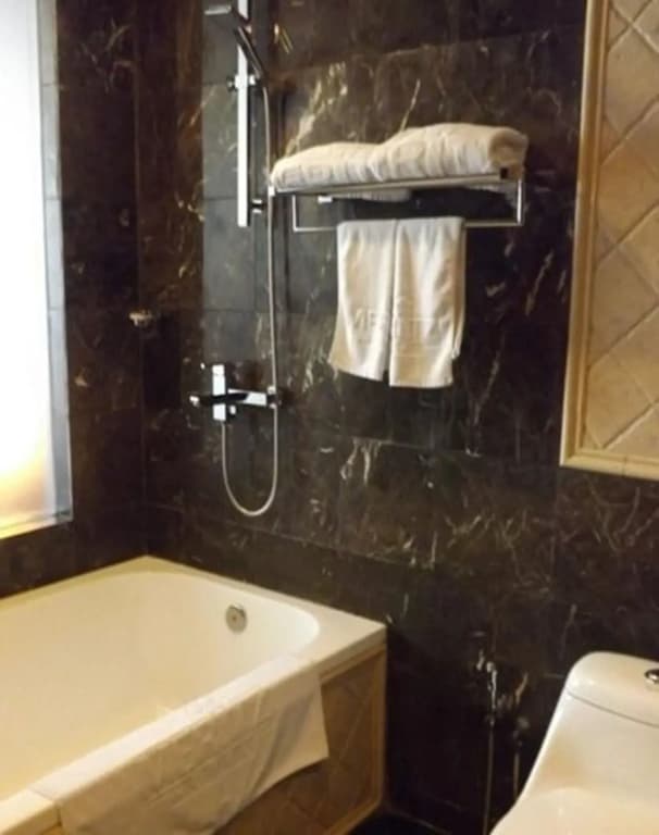 Meritz Hotel - photo 10