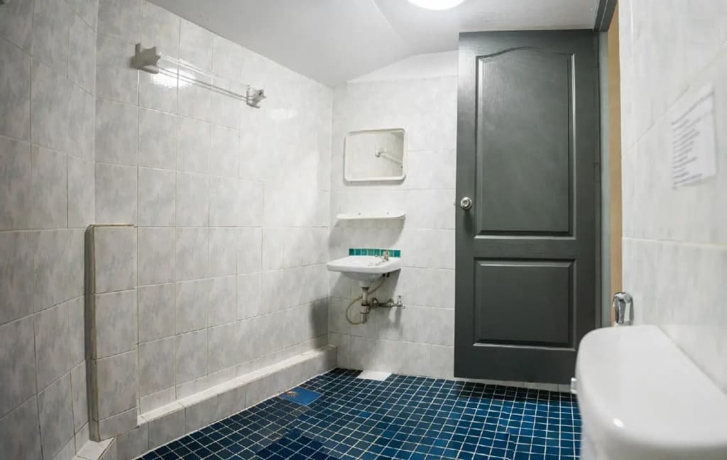 Dutch Guesthouse - photo 8