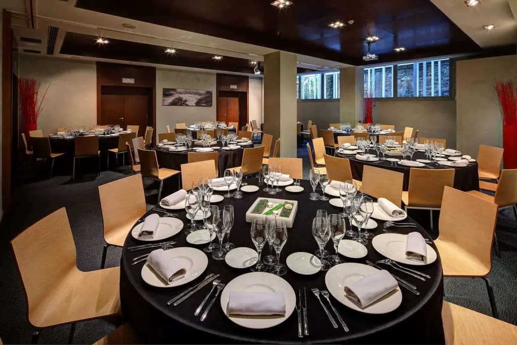Olivia Plaza Hotel - photo 19