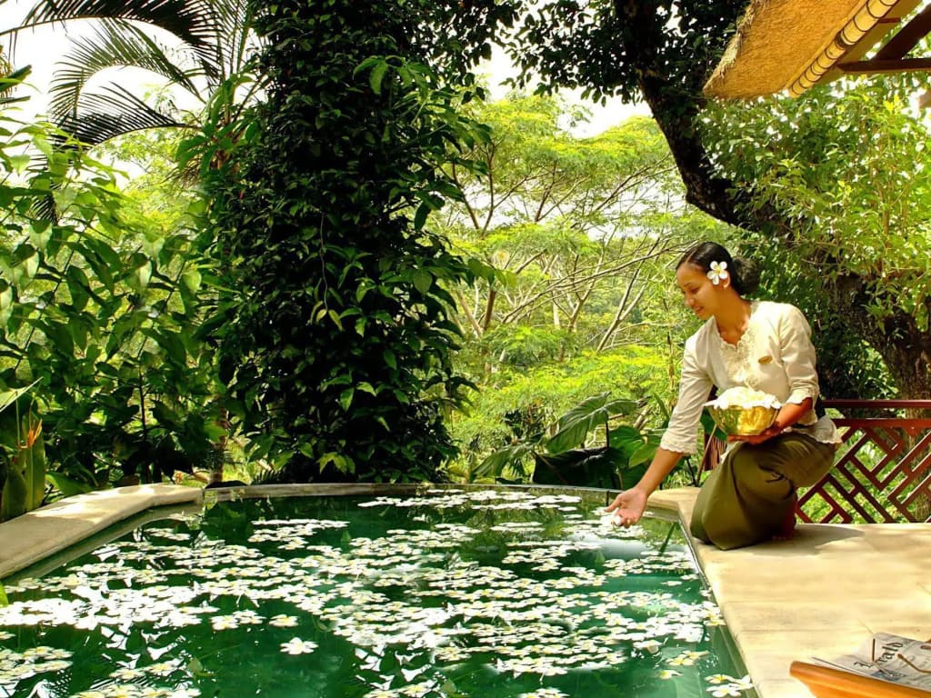 Kupu Kupu Barong Villas & Tree Spa Hotel - photo 13