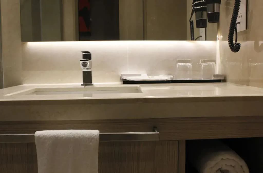 Hotel Swati - photo 5