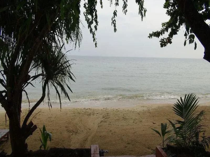 Meedej Guesthouse Koh Samui - main photo