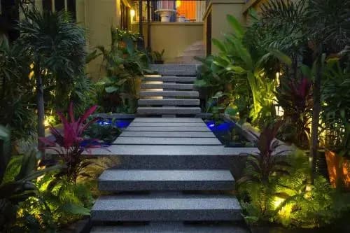 Butterfly Garden Villa - photo 15