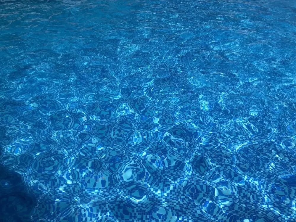 Green Pines Resort - photo 12