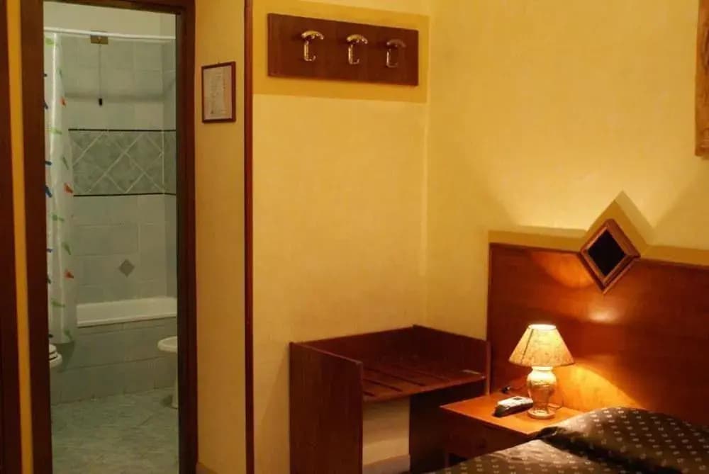 Farini - photo 5
